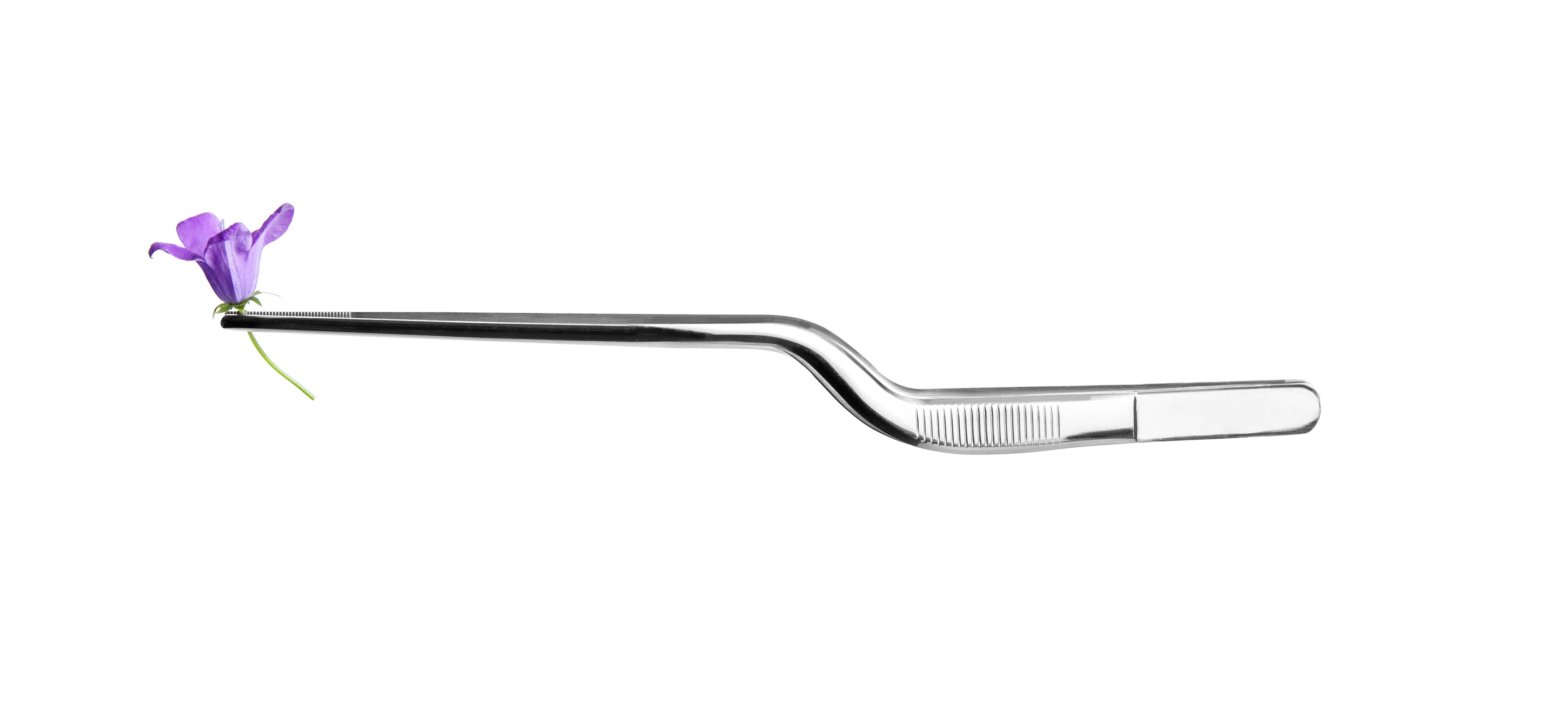 Pince de chef incurvée 16 cm